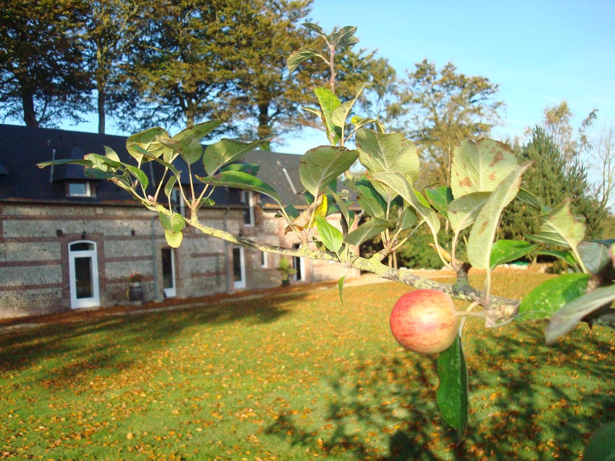 Maison De Vacances Clos Des Hogues Entre Etretat Et Fecamp Saint-Léonard Zewnętrze zdjęcie